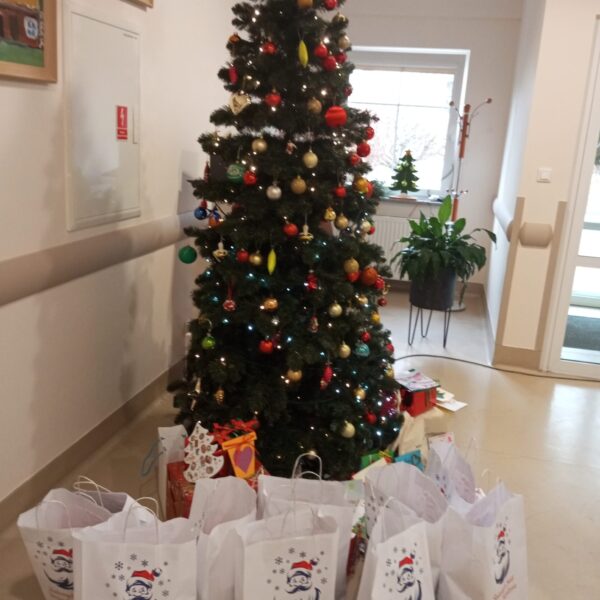 Podsumowanie akcji Fundacji Biedronka